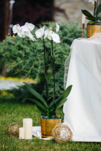 Rafina_Decor_Royal_orchid_wedding_2
