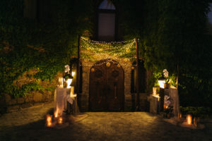 Rafina_Decor_Royal_orchid_wedding_21