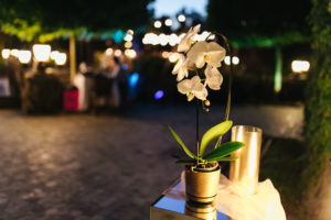 Rafina_Decor_Royal_orchid_wedding_23