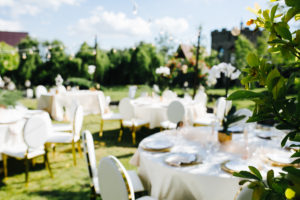 Rafina_Decor_Royal_orchid_wedding_5