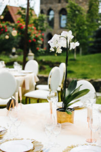 Rafina_Decor_Royal_orchid_wedding_6